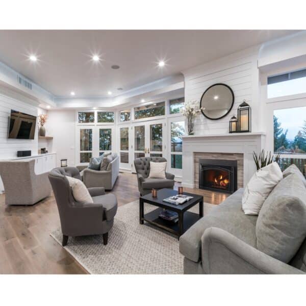 Escape Fireplace Insert - Image 2