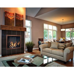 Mendota FV41 FireIn Gas Fireplace - Image 2