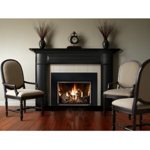 Mendota FV44i Traditional Gas Fireplace Insert - Image 3