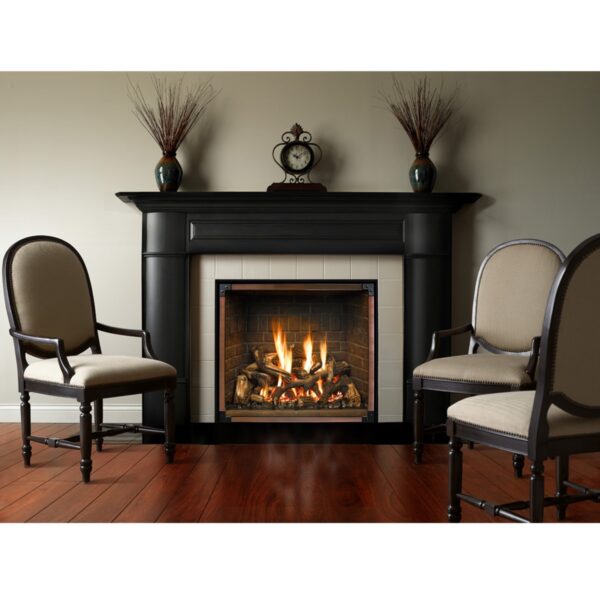 Mendota FV46 FIREIN™ GAS FIREPLACE - Image 3