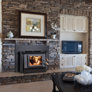 Blaze King Princess 29 Fireplace Insert