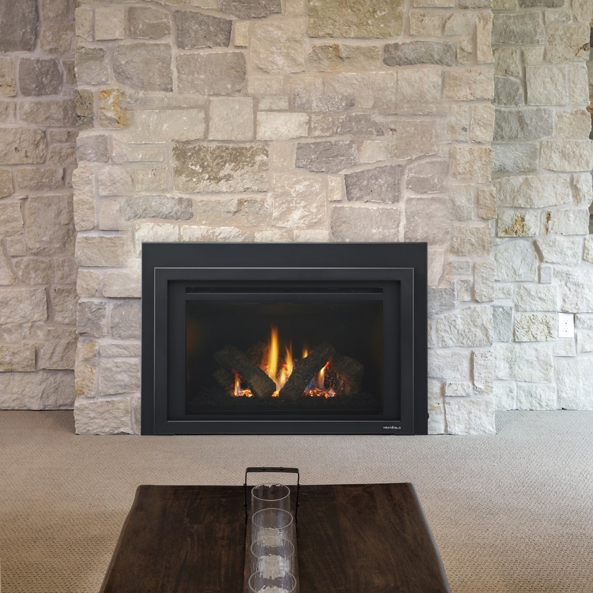 Provident Fireplace Insert
