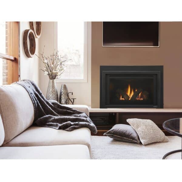 Provident Fireplace Insert - Image 2