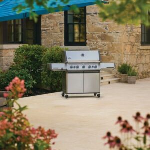 Napoleon Prestige® 665 RSIB - Image 2