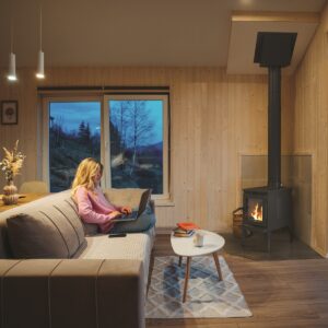 Green Mountain 20 Wood Stove - Image 3